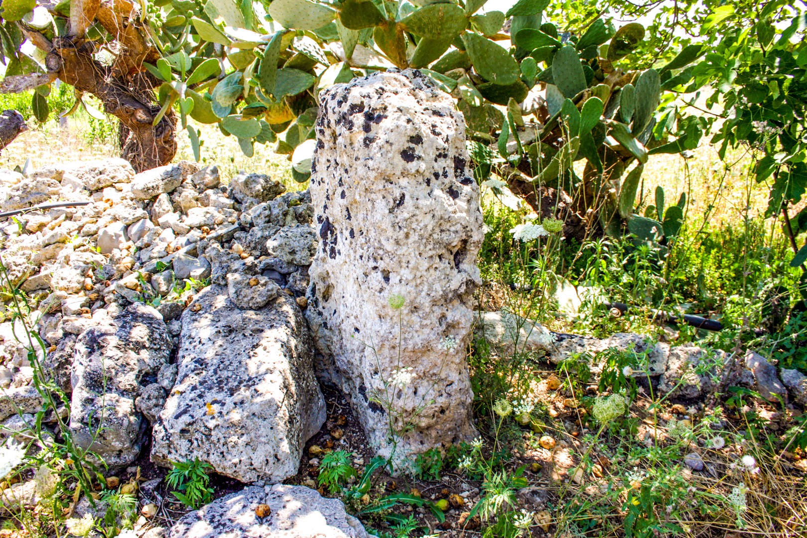 Menhir Pietragrossa